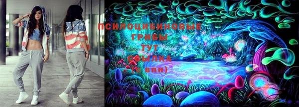 меф Пересвет