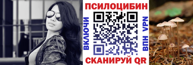 Псилоцибиновые грибы Psilocybine cubensis  Усть-Катав 
