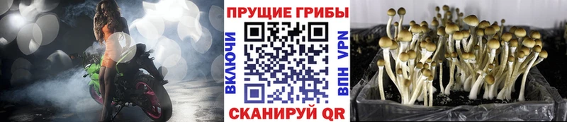 Псилоцибиновые грибы Magic Shrooms Усть-Катав